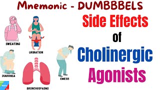 What are the Side Effects of Cholinergic Agonists  Pharmacology Mnemonic [upl. by Keyser]