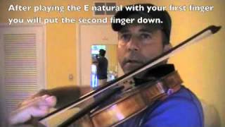 Learning notes on the violin Dstringm4v [upl. by Nerrawed]