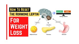 How to reset leptin hormone for weight loss  Veronica Yoo nutritionist FMCHC CFS [upl. by Andris]