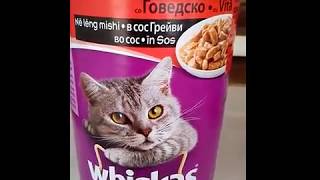 My cat eats Whiskas  cat food [upl. by Killigrew]