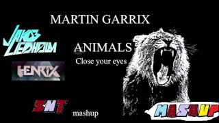 Martin Garrix vs Henrix amp Jakob Liedholm  Close Your Motherfng Animals SNT mashup [upl. by Anih]