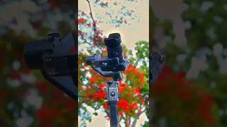 Nikon z50 S Dji Gimbal 🔥 dji djigimbal djiosmomobile2 djimini2 gopro goprohero9 nikon car [upl. by Viglione631]