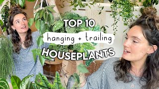 More AMAZING Hanging  Trailing Houseplants 🌿 Best Hanging Plants PART 2 [upl. by Zarla719]