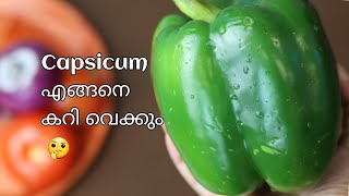 ഇതുപോലൊരു വിഭവം ട്രൈ ചെയ്തു നോക്കൂ ചപ്പാത്തിക്കും പൂരിക്കും പറ്റിയ കറി curry for chapatiCapsicum [upl. by Tatia]