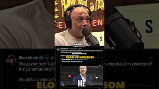 Joe Rogan Reacts to Musk VS Gavin Newsom [upl. by Yeldah]