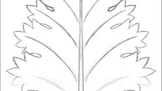 Drawing Acanthus Leaf  Basic Leaf [upl. by Darda]