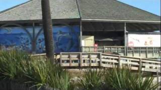 The Tybee Island Pier [upl. by Enoid]