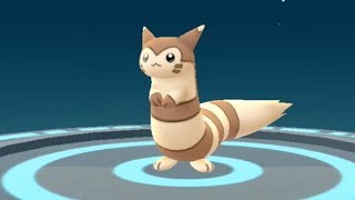 Pokemon Go Sentret to Furret Evolution Showcase Pokédex 161 and 162 [upl. by Gish96]