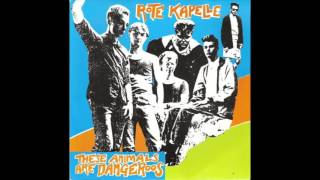 Rote Kapelle —These Animals Are Dangeroos [upl. by Nwadrebma]