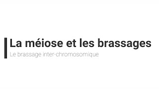 eSVT La méiose et le brassage interchromosomique [upl. by Stalk]