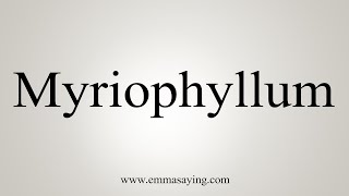 How To Say Myriophyllum [upl. by Dorolisa]