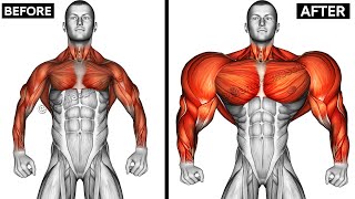 UPPER BODY WORKOUT WITH DUMBBELLS  ShoulderChestTricepsBackBiceps [upl. by Domonic]