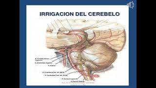 Semiología del síndrome cerebeloso [upl. by Yanrahc488]