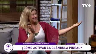 ¿Cómo activar la glándula pineal [upl. by Pate779]