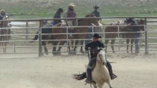 Hip 60  2016 Ranch Horse Competition Run Cody Horse Sale [upl. by Octavius]