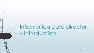 Informatica Data Director  Detailed view of History and Match section in IDD [upl. by Ellenahs]