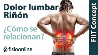 Riñón y dolor de espalda en la zona lumbar  ¿Cómo se relacionan [upl. by Dagny]