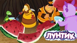 Лунтик  День арбуза 🍉🍉🍉 Сборник мультфильмов для детей [upl. by Temple110]