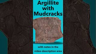 Argillite with Mud Cracks Identified [upl. by Repip]