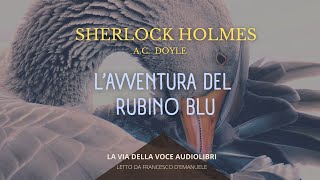 Sherlock Holmes Lavventura del Rubino Blu  AC Doyle  Audiolibro ITA [upl. by Naujet817]