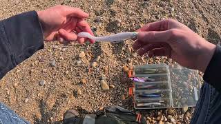 Slapton Sands Devon Fishing [upl. by Amelita]