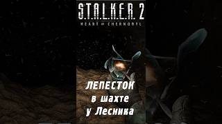 ВЕРБЛЮД для БЕРИЛА и та самая пещера из ЧН  STALKER 2 [upl. by Goodman]