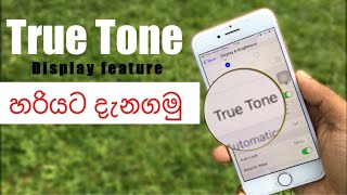 What is True Tone Display on Apple Devices Should You turn it ON Explain in Sinhala [upl. by Prudi]