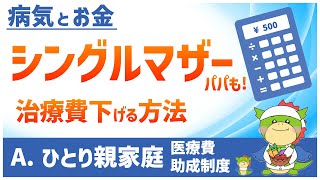 「ひとり親家庭医療費助成制度」で医療費を節約！児童扶養手当や特別児童扶養手当についても解説！ [upl. by Chon762]