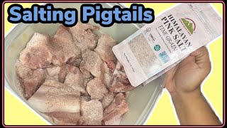 How to Salt Pigtails  Pink Salt Himalayan [upl. by Adnauqal]