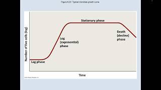 Ch 5 Microbial Growth and Nutrition [upl. by Lauree]