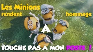 Les Minions rendent hommage a touche pas a mon poste [upl. by Onek]