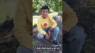 Gujrati song zini zini moralyu vagese bittugohil  shorts video you tub video [upl. by Formica]