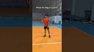 How to Dig 😱 abvolleyball volleyballspiketrainingdrills basketball [upl. by Kosaka]