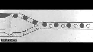 Droplet based microfluidics ESPCI LBC Interdigitation [upl. by Onaled120]