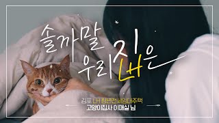 솔까말 우리집은 I 고양이🐈집사 LH청년전세임대주택에 살다 [upl. by Nyleahcim100]