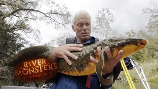 Handling Rare Australian Lungfish  River Monsters [upl. by Ocram520]