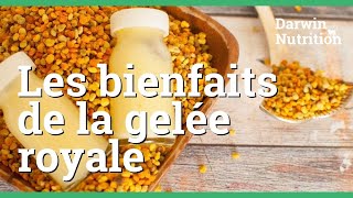 Découvrez tous les bienfaits de la gelée royale [upl. by Lora423]