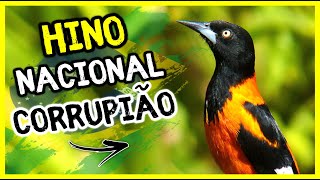 HINO NACIONAL PARA ENSINAR CORRUPIÃO  SOFRÊ  CONCRIZ COM INTERVALO [upl. by Adorl]