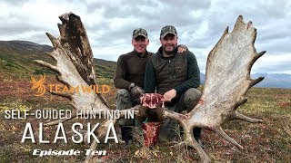 Selfguided Moose amp Caribou Hunting in Alaska Episode 10  Butchering and Packing Out a Bull Moose [upl. by Inalaehak469]