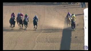 Aqueduct Racetrack Spill Dec 3 2021 Eighth Race [upl. by Nosyaj]