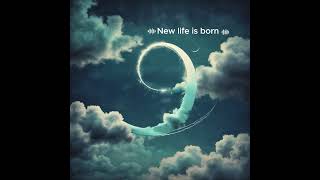 เพลง New life is born SUNO BEAR [upl. by Lonnard21]