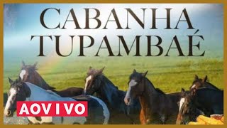 LEILÃO DE OUTONO CABANHA TUPAMBAÉ PROGRAMA CAVALOS AO VIVO [upl. by Otrevlig]