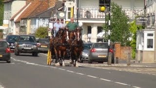 Fourinhand driving in the New Forest [upl. by Ariec]