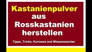 Kastanienpulver herstellen selber machen aus Rosskastanien Kastanienwaschpulver Waschmittel [upl. by Etnuhs779]