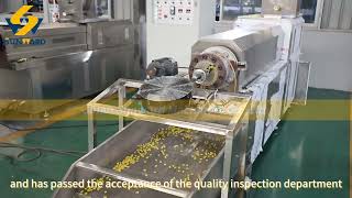 pasta production equipment macaroni making machine 3 d snack food manufacturing plant [upl. by Behlau483]