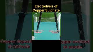 Electrolysis of copper Sulphate electrolysis electrochemistry experiment practical chemistry [upl. by Cutlor64]