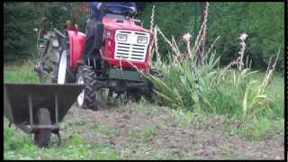 Yanmar 1510D Kartoffelernte 3 mit Lanz LK20 Potato Harvester Part 3 HD [upl. by Ettevey]