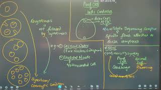 NEET 2025 BIOLOGY  CELL CYCLE  REGULATION OF MITOSIS  MEIOSIS INTRODUCTION [upl. by Tammi688]