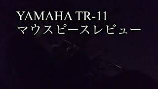 YAMAHA trumpet TR11 マウスピース レビュー [upl. by Aoh]