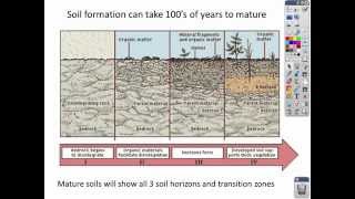 Intro to Soil lecture [upl. by Locke]